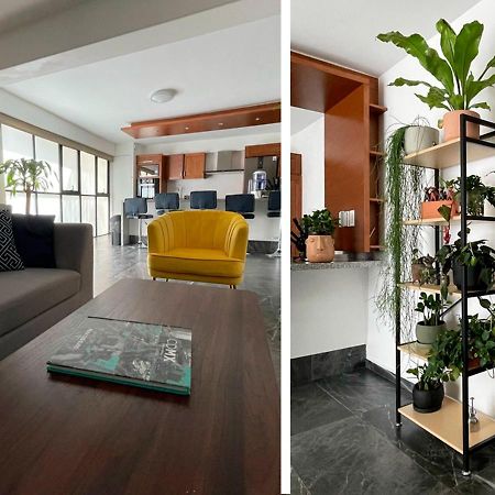 Great Apartment In The Heart Of Coyoacan Meksyk Zewnętrze zdjęcie