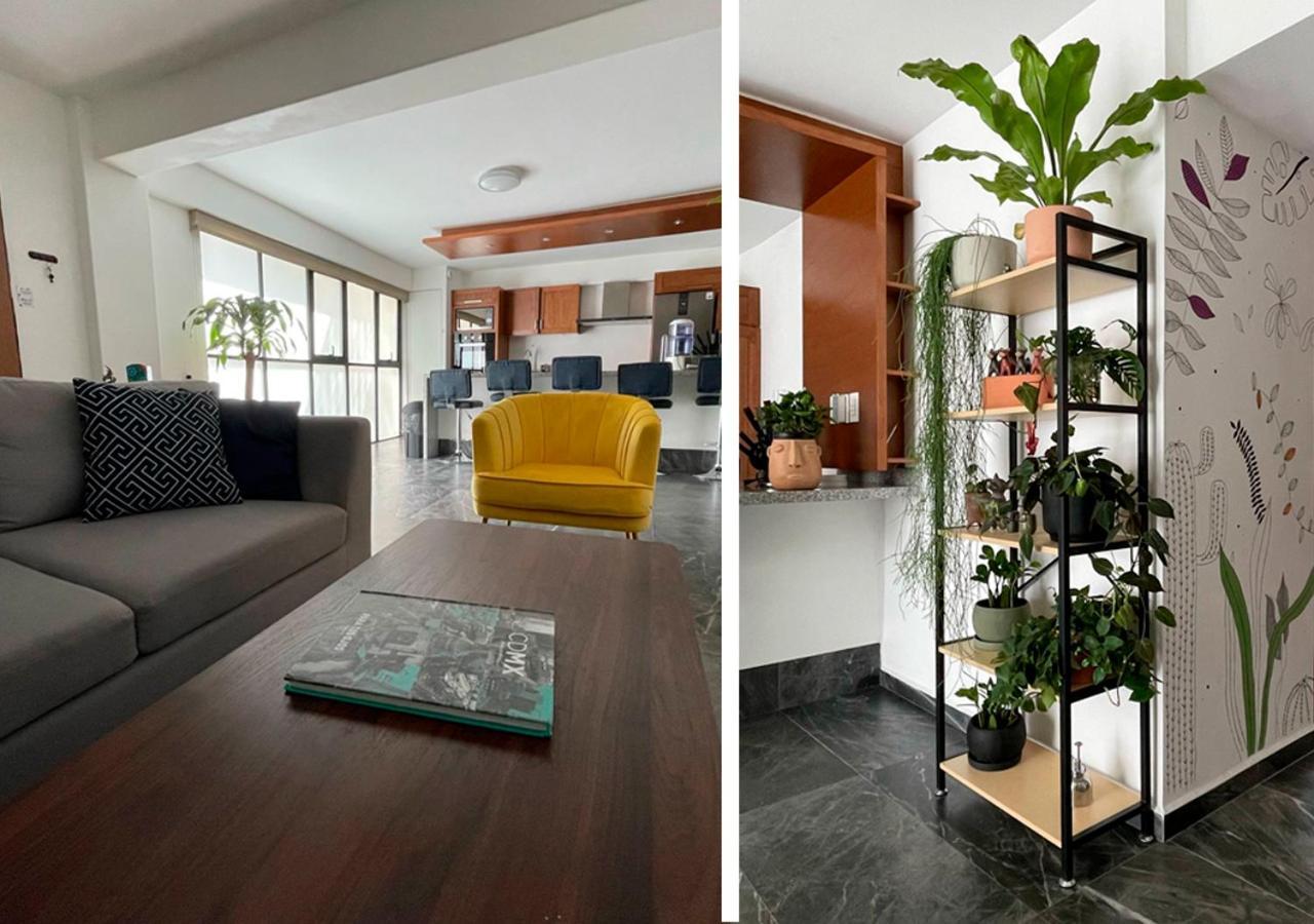Great Apartment In The Heart Of Coyoacan Meksyk Zewnętrze zdjęcie
