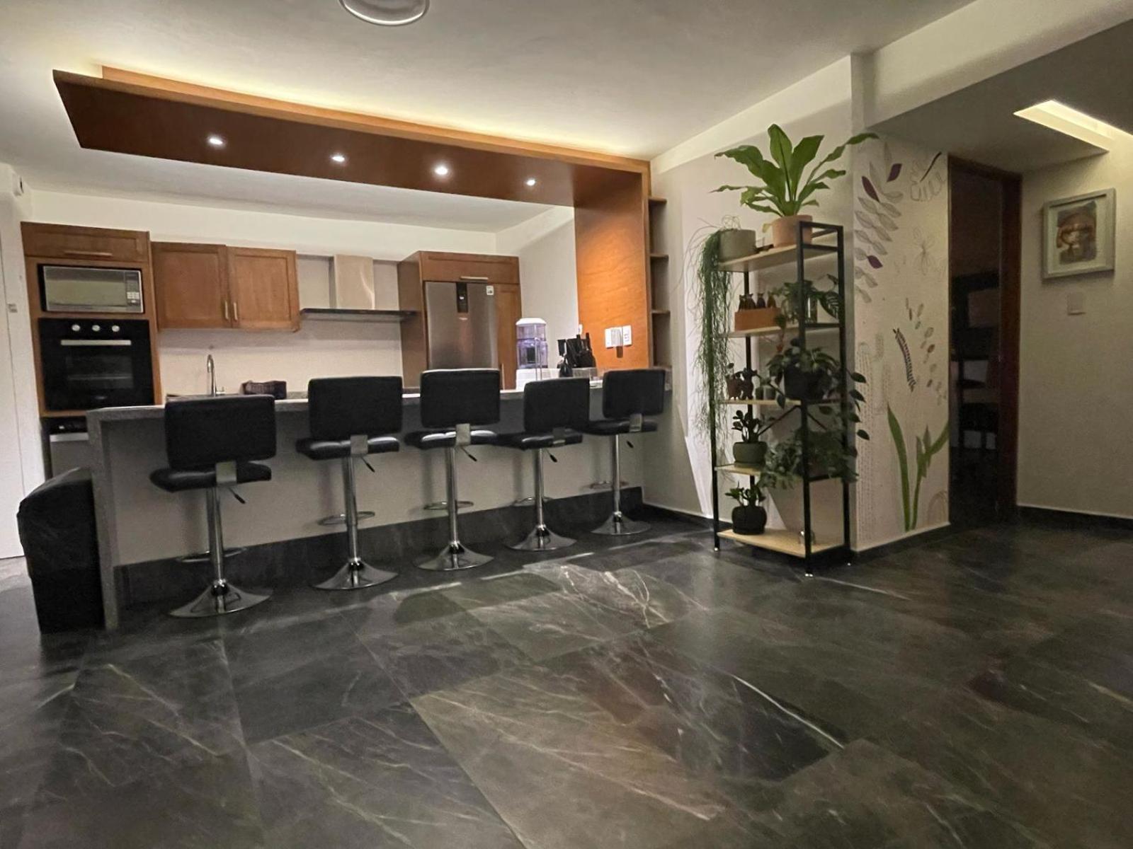 Great Apartment In The Heart Of Coyoacan Meksyk Zewnętrze zdjęcie