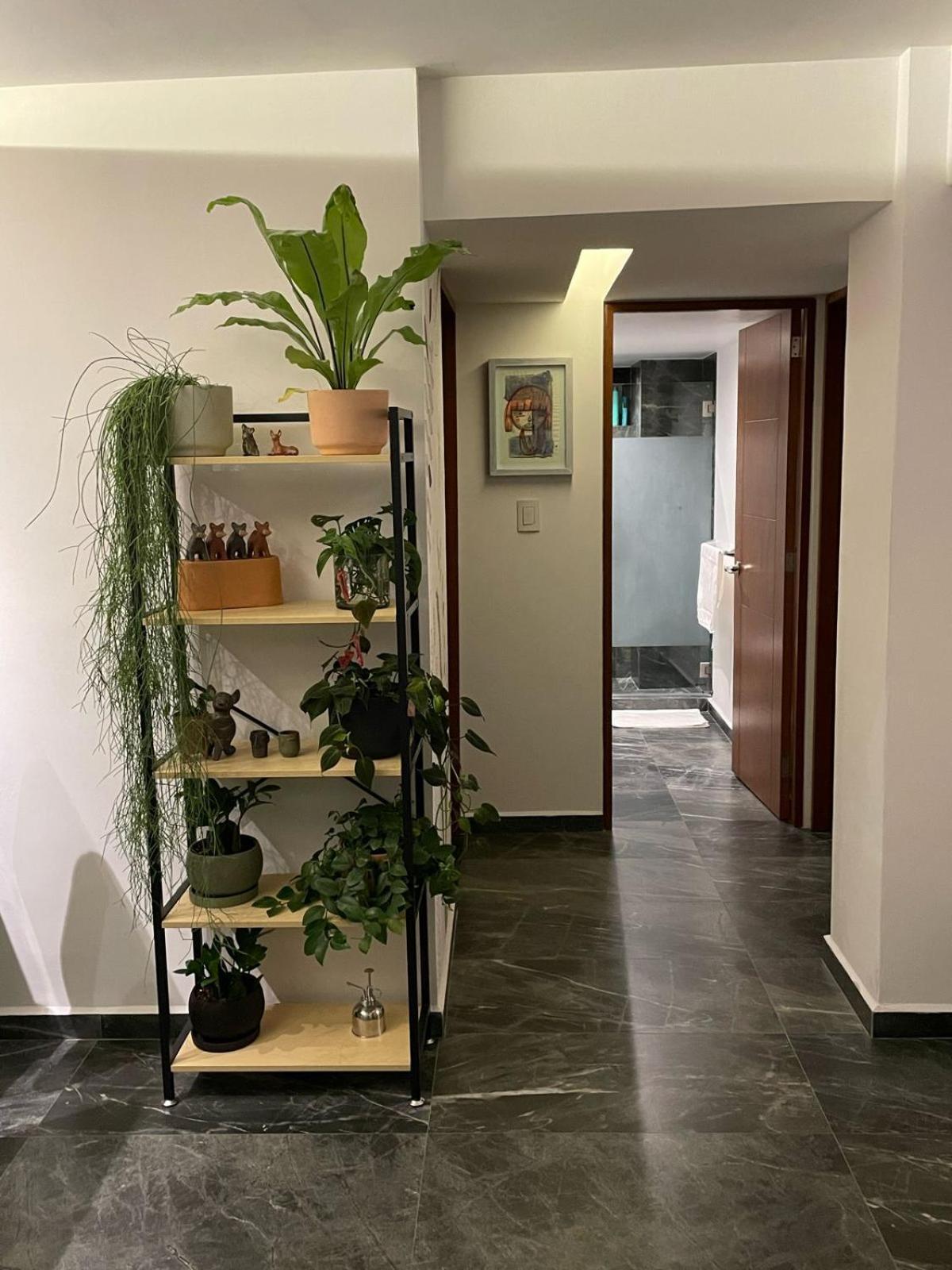Great Apartment In The Heart Of Coyoacan Meksyk Zewnętrze zdjęcie