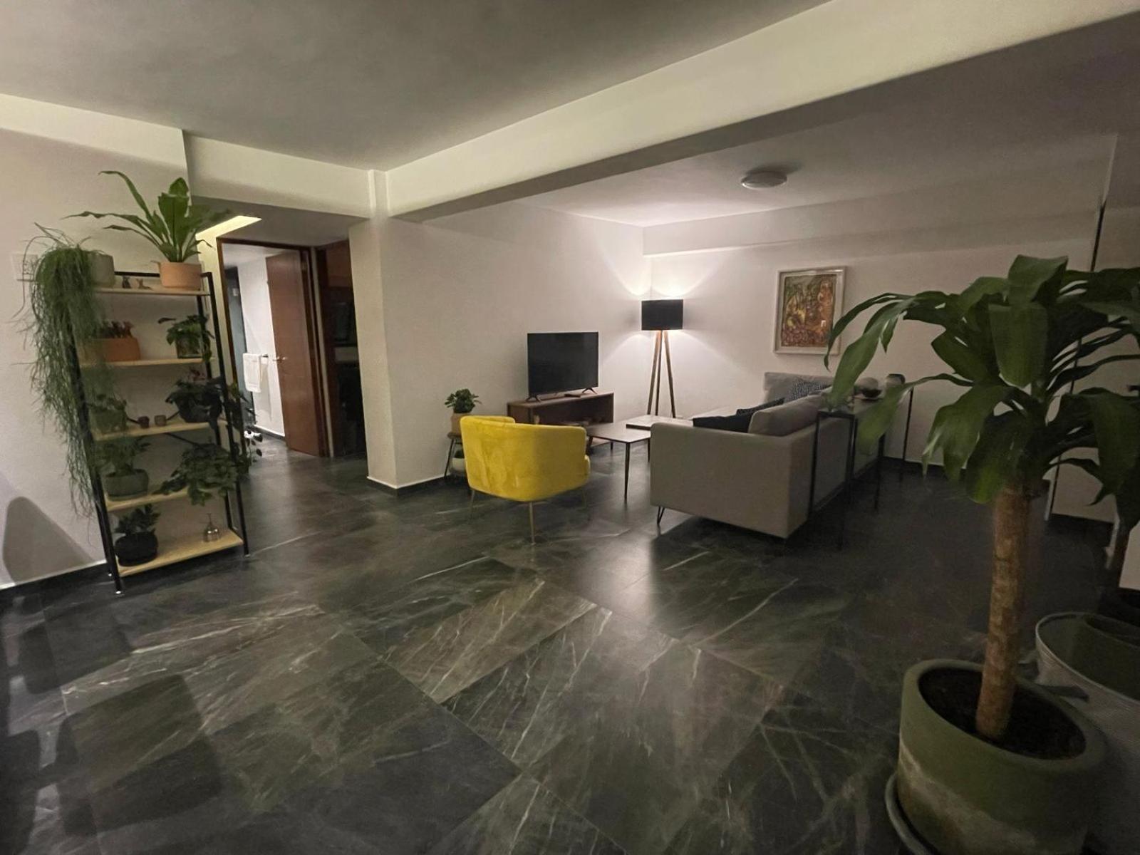 Great Apartment In The Heart Of Coyoacan Meksyk Zewnętrze zdjęcie