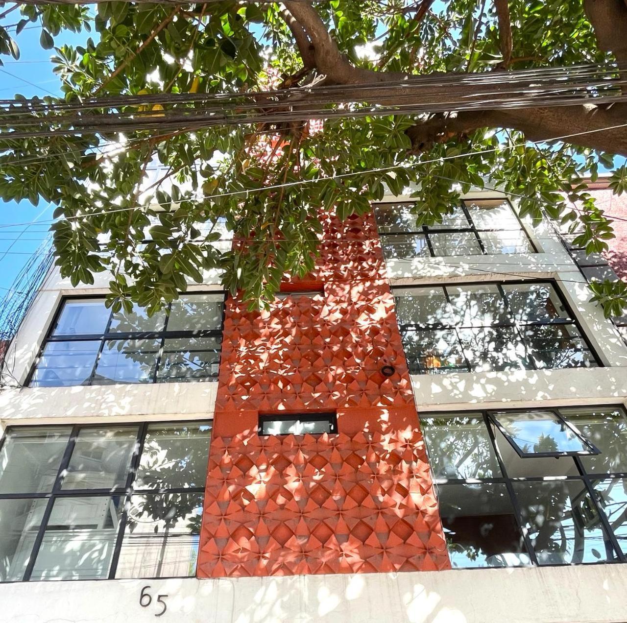 Great Apartment In The Heart Of Coyoacan Meksyk Zewnętrze zdjęcie